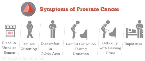 Prostate Cancer Cancer Of Prostate Incidence Prevention Causes Symptoms Treatment