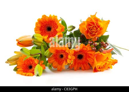 Bouquet Of Orange Flowers Over White Background Stock Photo Alamy