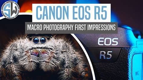 Canon R5 For Macro Photography First Impressions Youtube