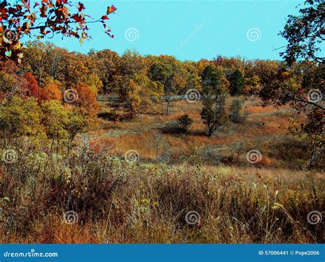 Fall Meadow With Colorful Trees Stock Image Image Of Colored Trees