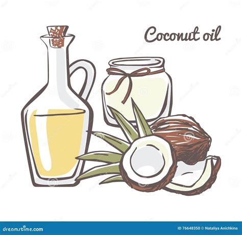 Vector Illustration Coconut Oil Stock Vector Illustration Of Fruit