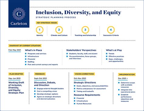 diversity equity and inclusion plan template