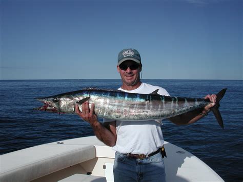 Wahoo Fishing In The Florida Keys