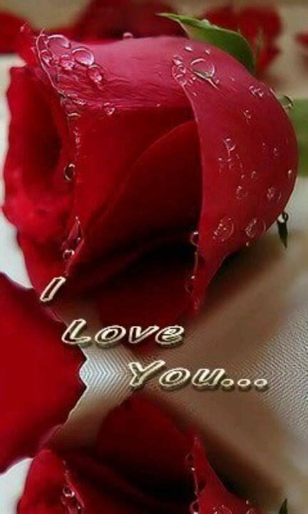 Meeting New People Happy Sunday Red Leather Jacket I Love You Roses