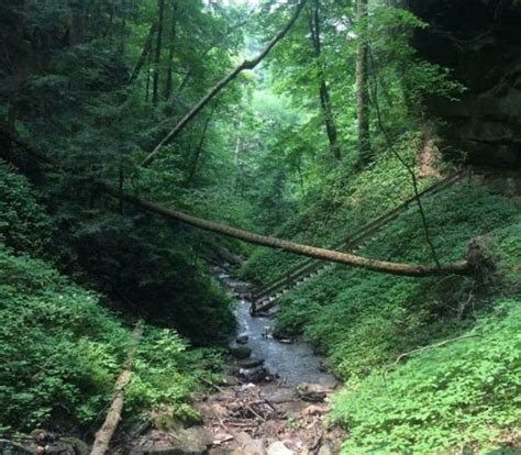 12 Of The Most Beautiful Places In Indiana