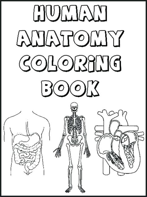 Human Organs Coloring Pages At Free Printable