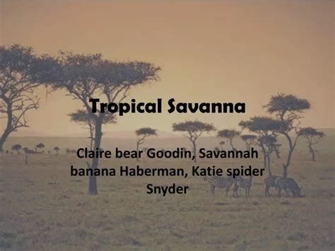 Ppt Tropical Savanna Powerpoint Presentation Free Download Id1118060