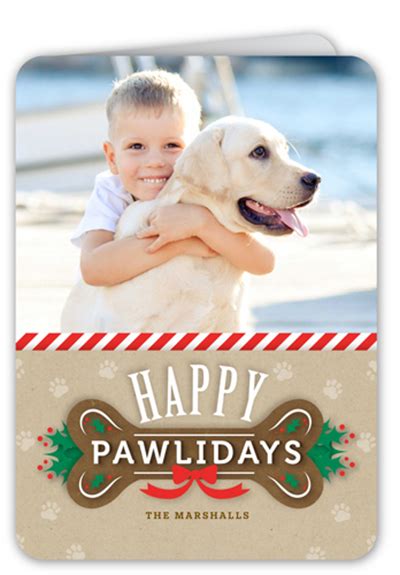 Here's some fun and easy dog crafts for kids and adults to make, including dog craft projects using paper, cups, fabric, socks, cds, and tin cans. 15+ Fun Christmas Card Ideas With Dogs | Shutterfly