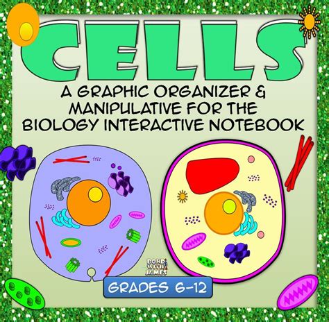 Cells Graphic Organizer And Manipulative For Interactive Notebooks
