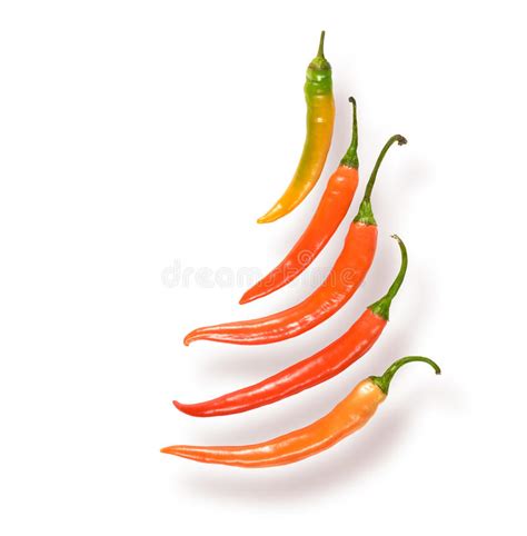 Hot Peppers Stock Image Image Of Fresh Vegetarian 51027685