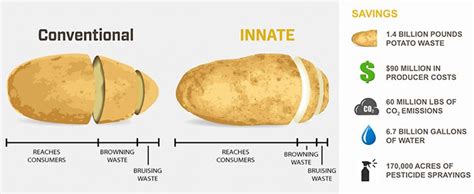 Gmo Potato Creator Fears Of Unintended Consequences