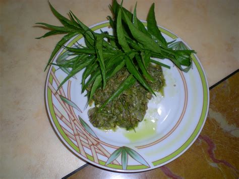 Ekstrak sabah snake grass (ssg) daun belalai gajah telah meluas digunakan di serata pelosok asia dalam perubatan tradisional. Petua,Idea dan Pandangan: KHASIAT DAUN BELALAI GAJAH ...