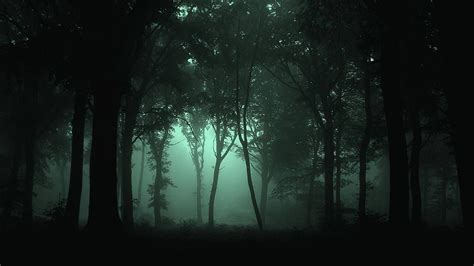 1920x1080 Beautiful Dark Forest Wallpapers Top Free 1920x1080