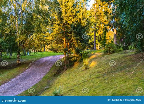 Colorful Photo Of The Park On A Sunny Autumn Day Walking Path In The