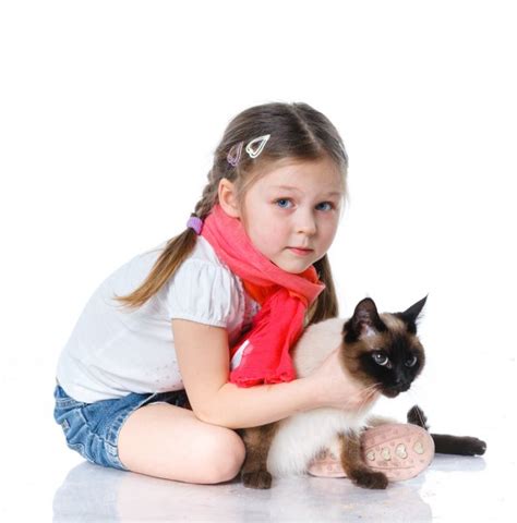 Little Girl And Cat Stock Photo By ©macsim 42565299