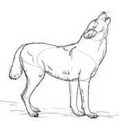Art land 2.477 views2 months ago. How to draw an arctic wolf | Step by step Drawing tutorials