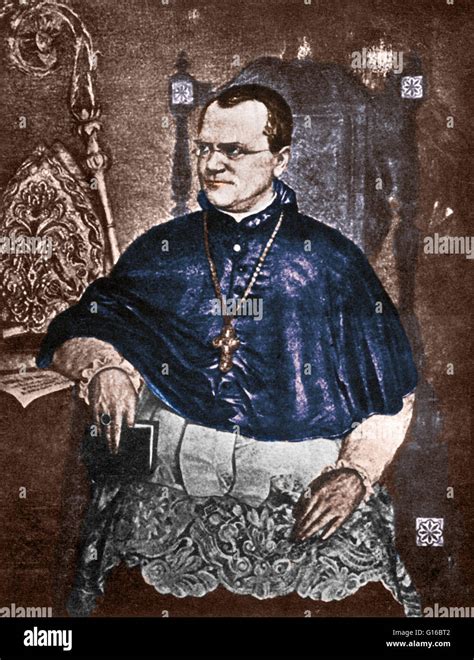 Color Enhancement Of A Portrait Artwork Of Gregor Johann Mendel July