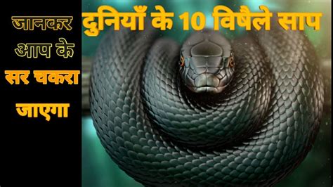 दुनिया के 10 सबसे जहरीले सापworld Top 10 Most Poisonous Snake Youtube