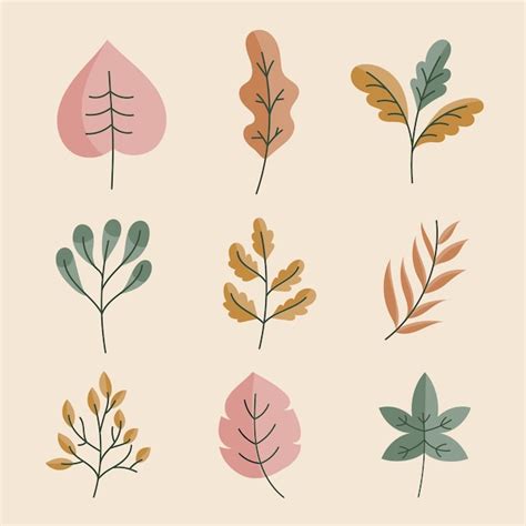Free Vector Hand Drawn Set Of Leaves