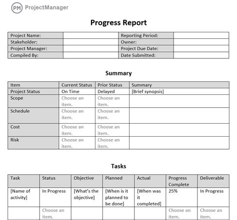 Progress Report Template Excel Word Templates