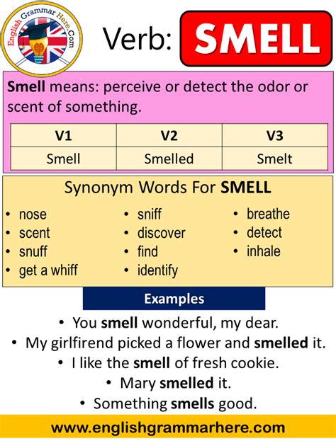 Forms, functions, constructions, typical cases of use. Smell Past Simple, Simple Past Tense of Smell Past ...