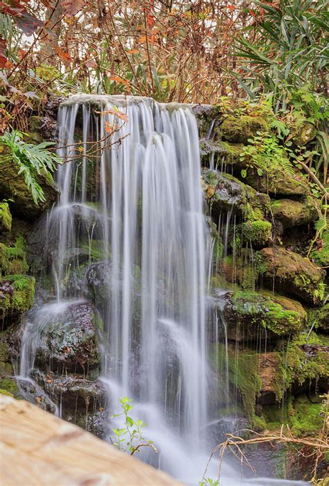 Satin Water Cascading Over Mossy Rocks In Florida Park Photograph By