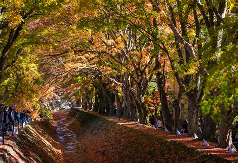 Mount Fuji Fall Colors Trip Report Day 2 Travel Caffeine