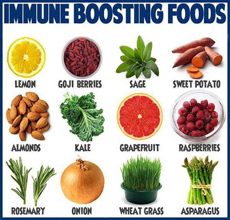 However, you can also get a good amount of protein from eggs, milk, yogurt and cheese. Foods That Boost the Immune System