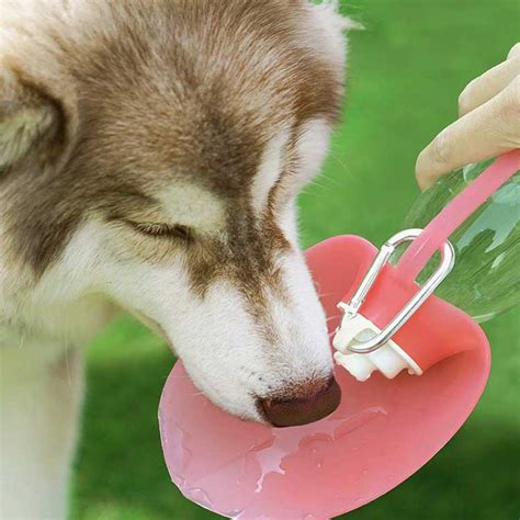 Portable Dog Water Dispenser Expandable Silicone Flip Up Leaf Hb Silicone