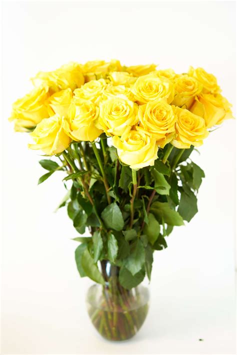 Yellow Roses Flower Bouquet 12 Yellow Roses Long Stem 1 Dozen Roses