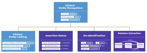 Named Entity Recognition Is A Fundamental Building Block Of Medical
