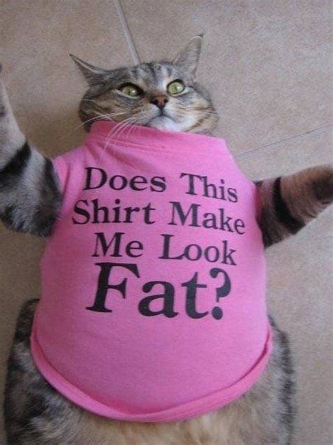 Does This Shirt Make Me Look Fat We Need This For Oreo