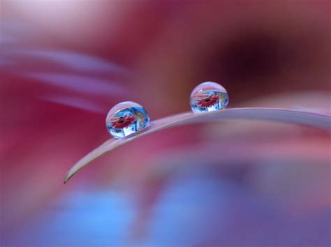 32 Beautiful Examples Of Water Drop Photography Photography Graphic