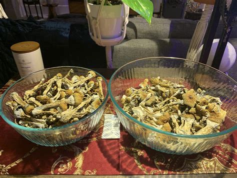 Second flush nirvana from two 95qt. tubs, left is Treasure Coast, right