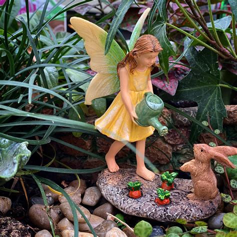 fairy garden — nature s corner