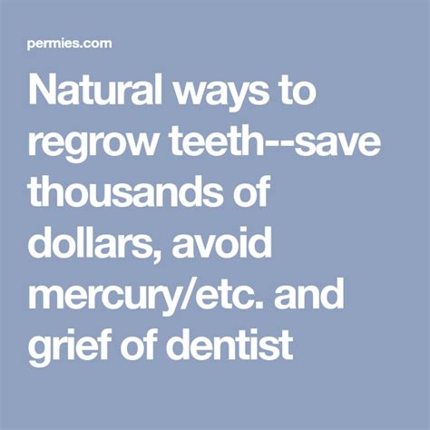 Regrowing Teeth Understanding Human Tooth Regeneration