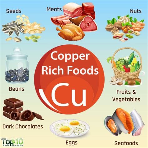 Foods High In Copper Signs Of Deficiency And Health Benefits Top 10