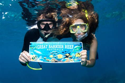 Snorkel The Great Barrier Reef Do I Need To Be A Good Swimmer