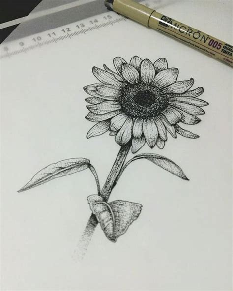 FREE 10+ Sunflower Drawings in AI