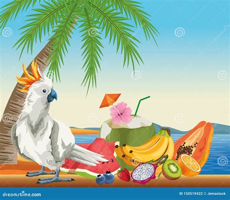 Summer Fruits And Beach Cartoons Stock Vector Illustration Of Exotic