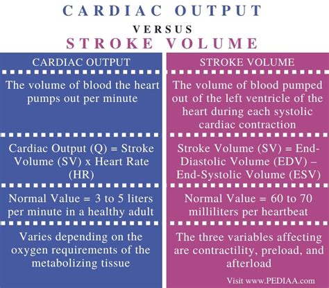 What Is The Difference Between Cardiac Output And Stroke Volume
