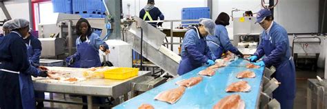 Processed Foods Food Processing Facilities