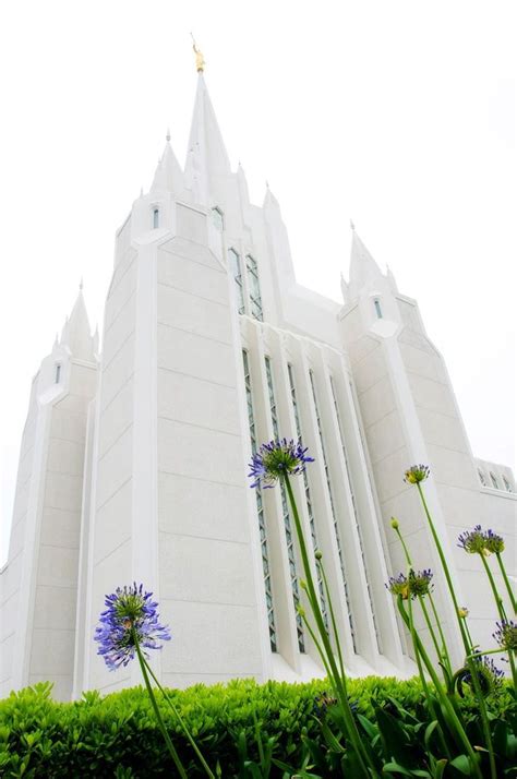1920x1080px 1080p Free Download Best Temples Lds Temples Mormon