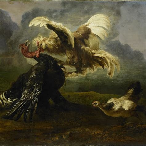 Cock Attacking A Turkey Anonymous C 1650 Rijksmuseum