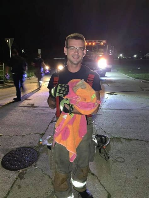 Firefighter Rescues Stuck Kitten Adopts It Weeks Later—they Had A