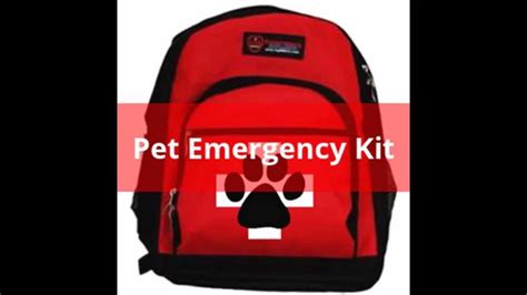 The Pet Emergency Kit Youtube