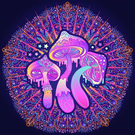 Magic Mushrooms Psychedelic Hallucination Vibrant Vector Illustration