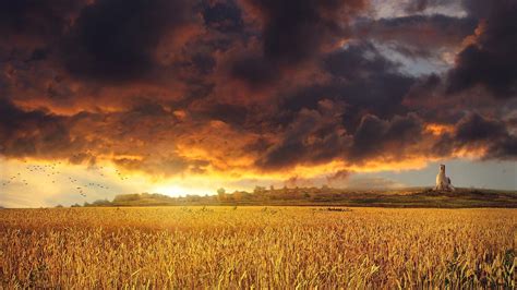 Golden Sunset Over A Field Wheat Grass Clouds Sky Wallpaper 1920x1080