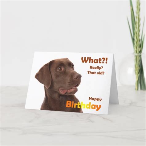 Happy Birthday Fun Card With Labrador Dog Uk