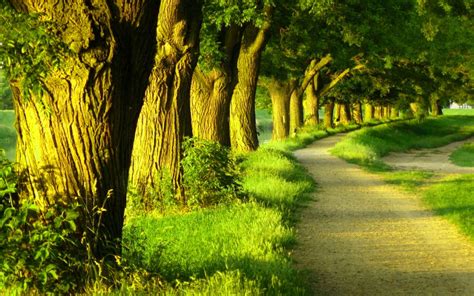 Fondo pantalla Bonito Paisaje Campo | Paisaje campo
